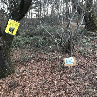 矢印の先が切れて分かりにくい看板