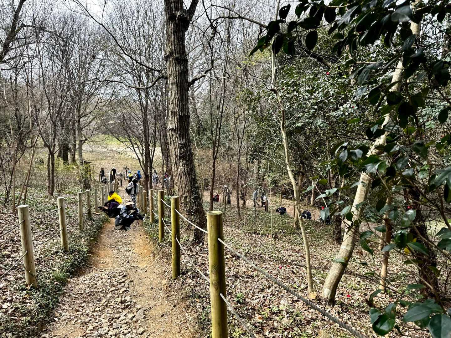 登山口まで下りてきました
まだまだたくさんの人で賑わっています