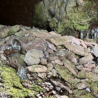 明るいとよく見える