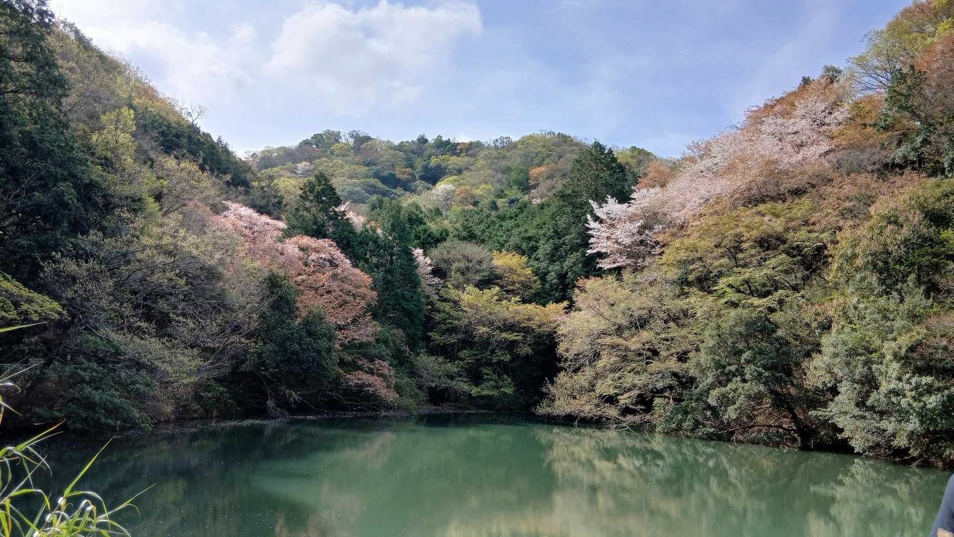 雨山 周回コースの写真