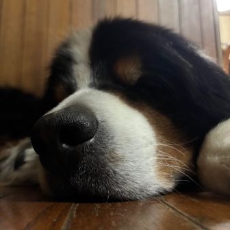 低山登山部員山田