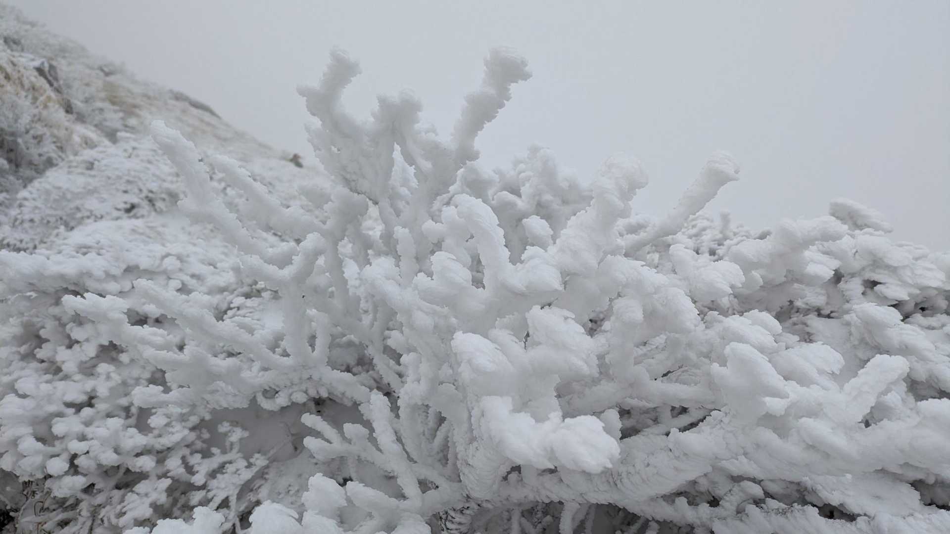 大曲登山口-諏蛾守越-三俣山 往復コースの写真