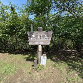 武川岳（標高1052） 通過

展望はありません

妻坂峠へ向かいますが、少し急な下りです⚠️

