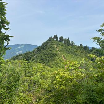 小城より坂戸山を望む
