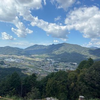 360°パノラマビュー