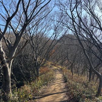 紅葉は終わりました🥺🍂