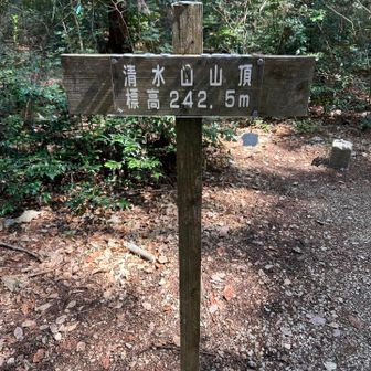 清水山⛰️登頂❗️

足が痛い😆💦スピード落としてください🙏