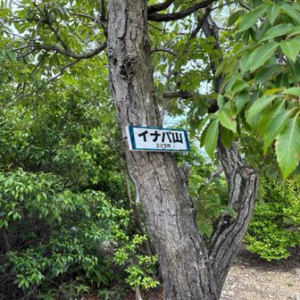 スズメバチ🐝が３匹いたのですぐに下山！