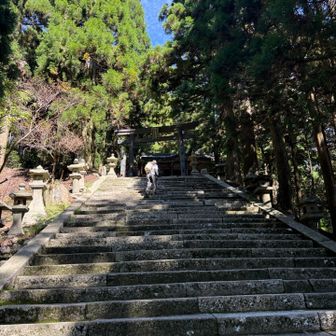 同