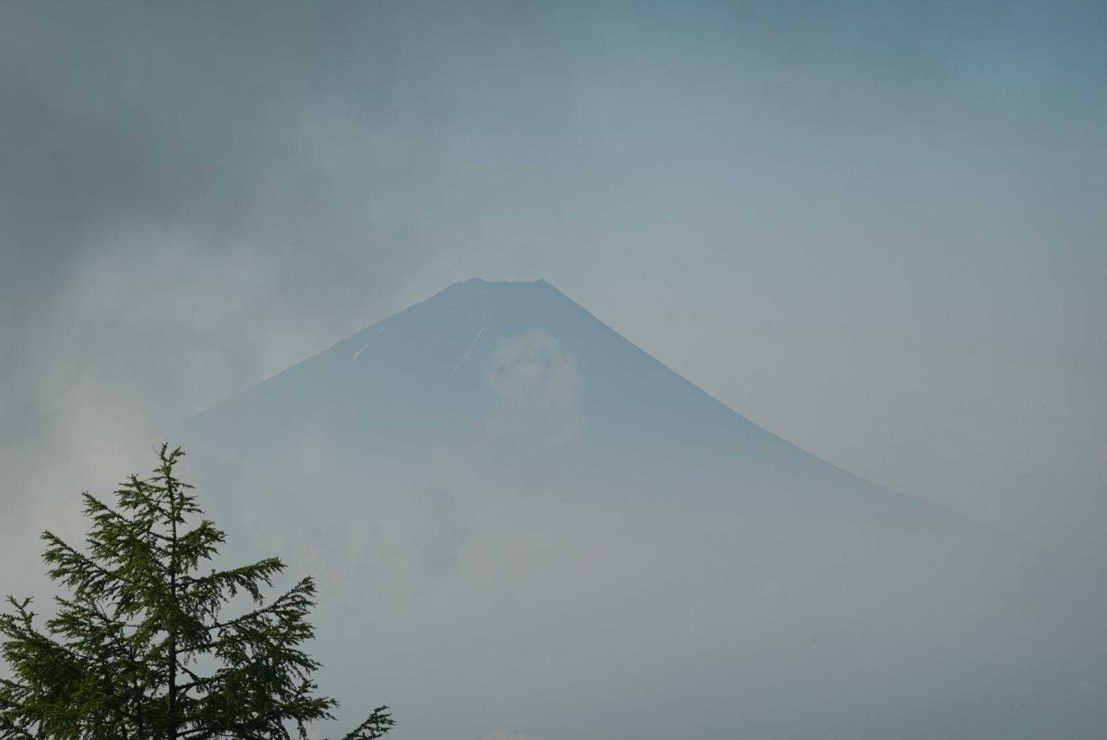 甘利山登山口-甘利山-大西峰-千頭星山-小西峰-御所山 周回コースの写真
