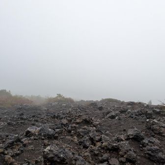 振り返ると、驚きの白さ。