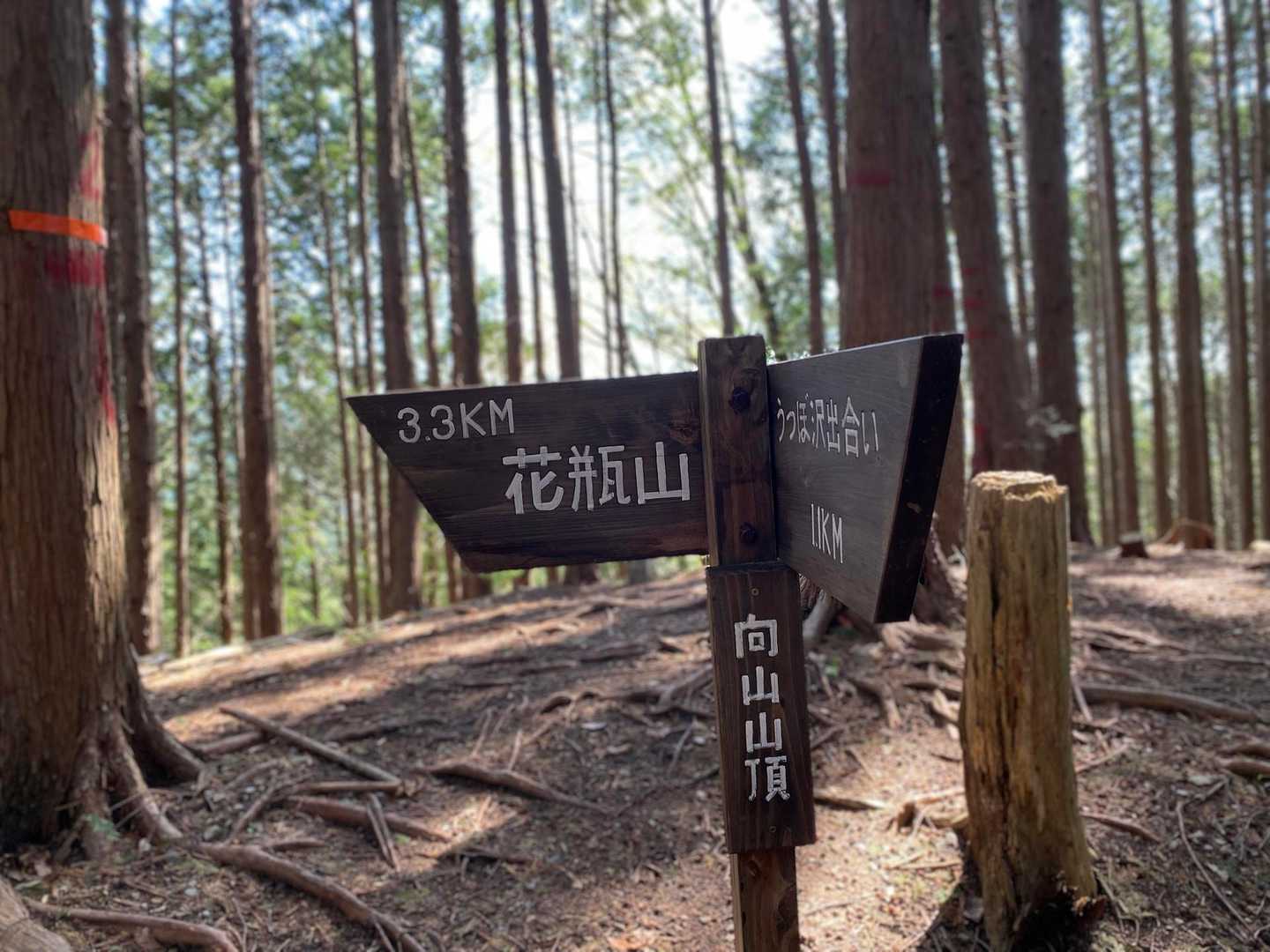 向山到着🎵
ちょっとだけ急登でした😁