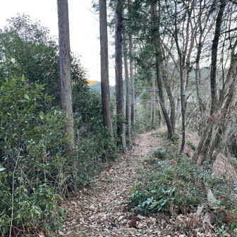 最後の力を振り絞り、痩せ尾根を歩きます