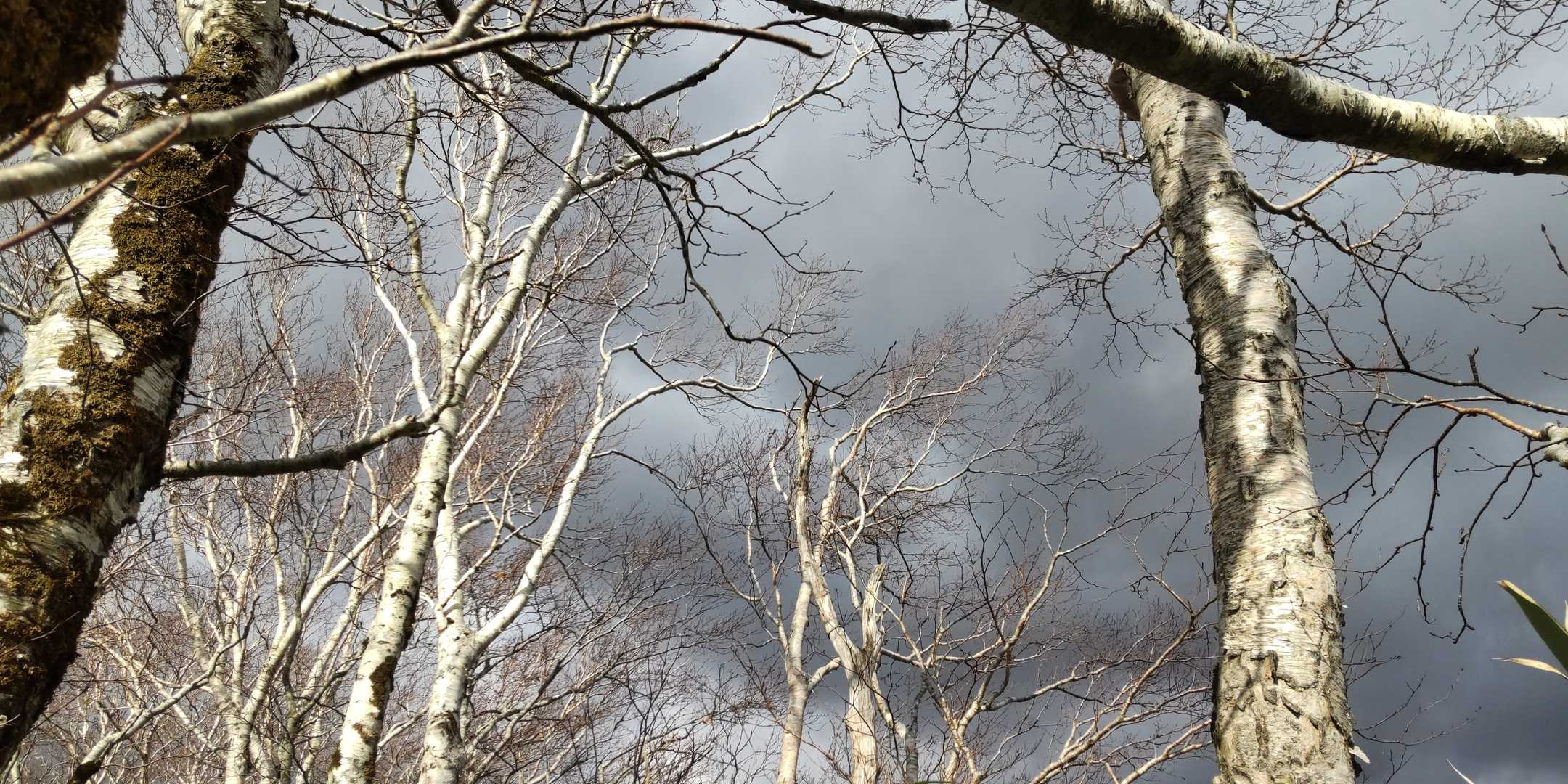 下山開始
ぜんぜん名残惜し…くない
もう来ないぞ(笑)