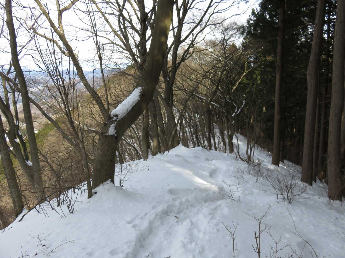 さて下りますか。これから登ってくる方も結構いますね。