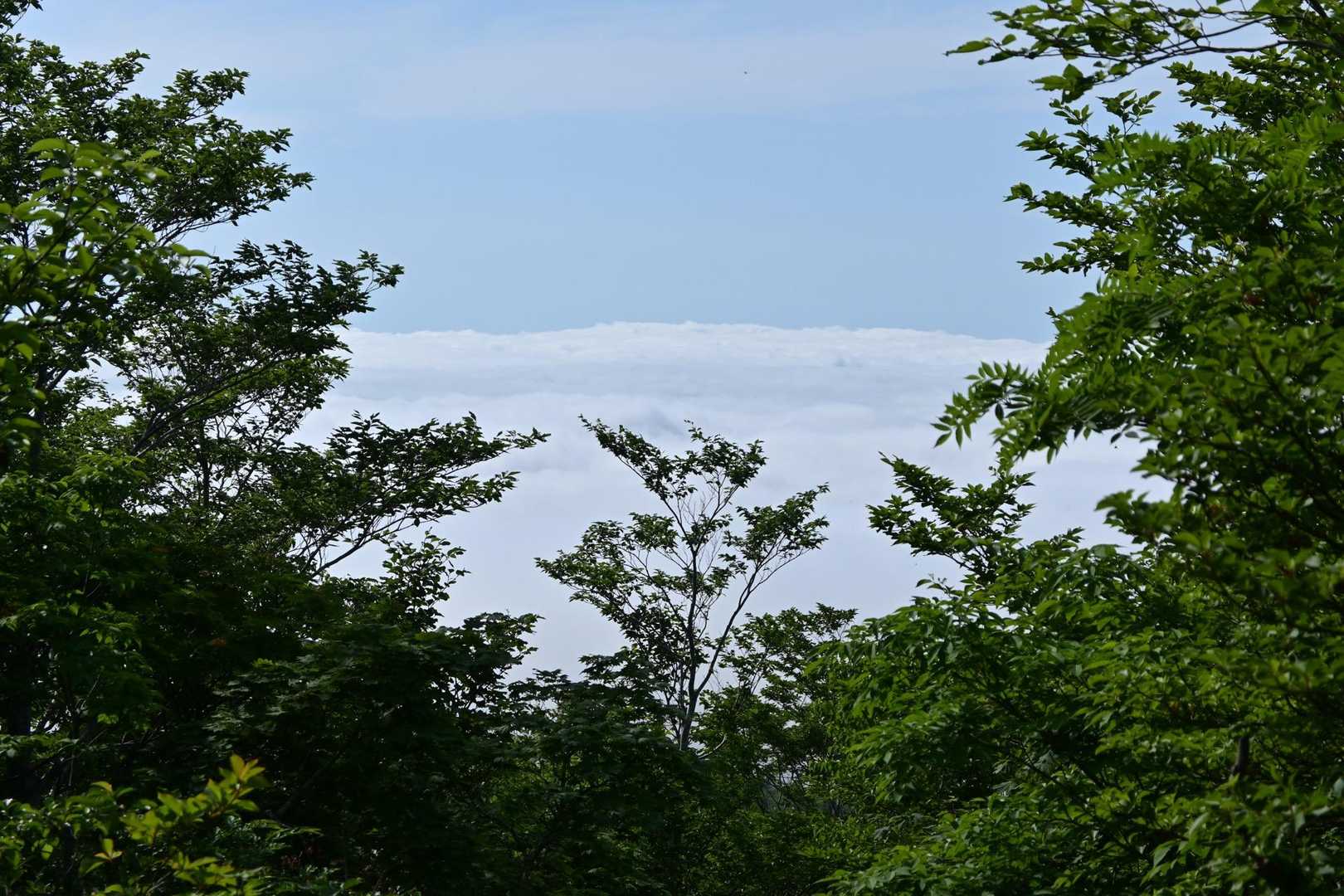 白石スキー場登山口-白石女子校小屋跡-不忘山-南屏風岳 往復コースの写真