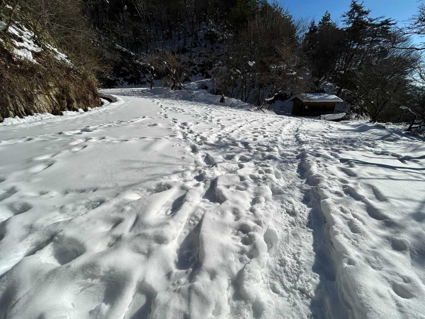 山中腹の🅿️
除雪されてない山道、さすがにここまで車で来られた方は居ないみたい
タイヤ痕無し