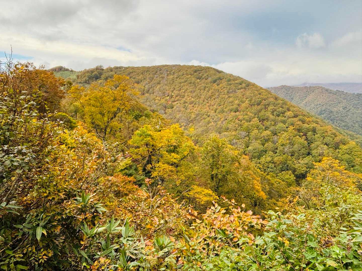 コブノ背-アオノ背-寒風山 往復コースの写真