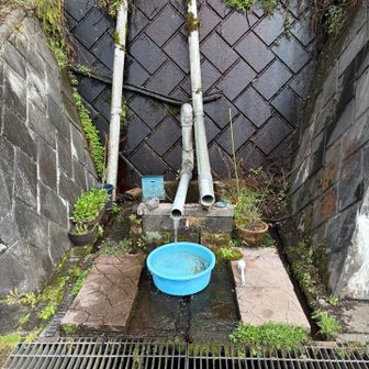 冷たくて気持ちいい湧き水‼︎