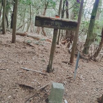 少し分かりにくい場所に三角点😆