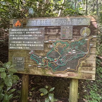 大弛峠峠まで来ました
ここからは高尾山方面へ向かいます