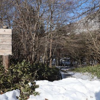 赤城山大洞のバス停から1本中に入る