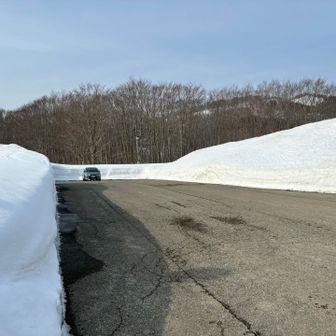 駐車場到着。朝は５、６台停まっていた車も今は私の車のみ。