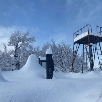 去年はこの時期には展望台がほぼ埋まってましたが