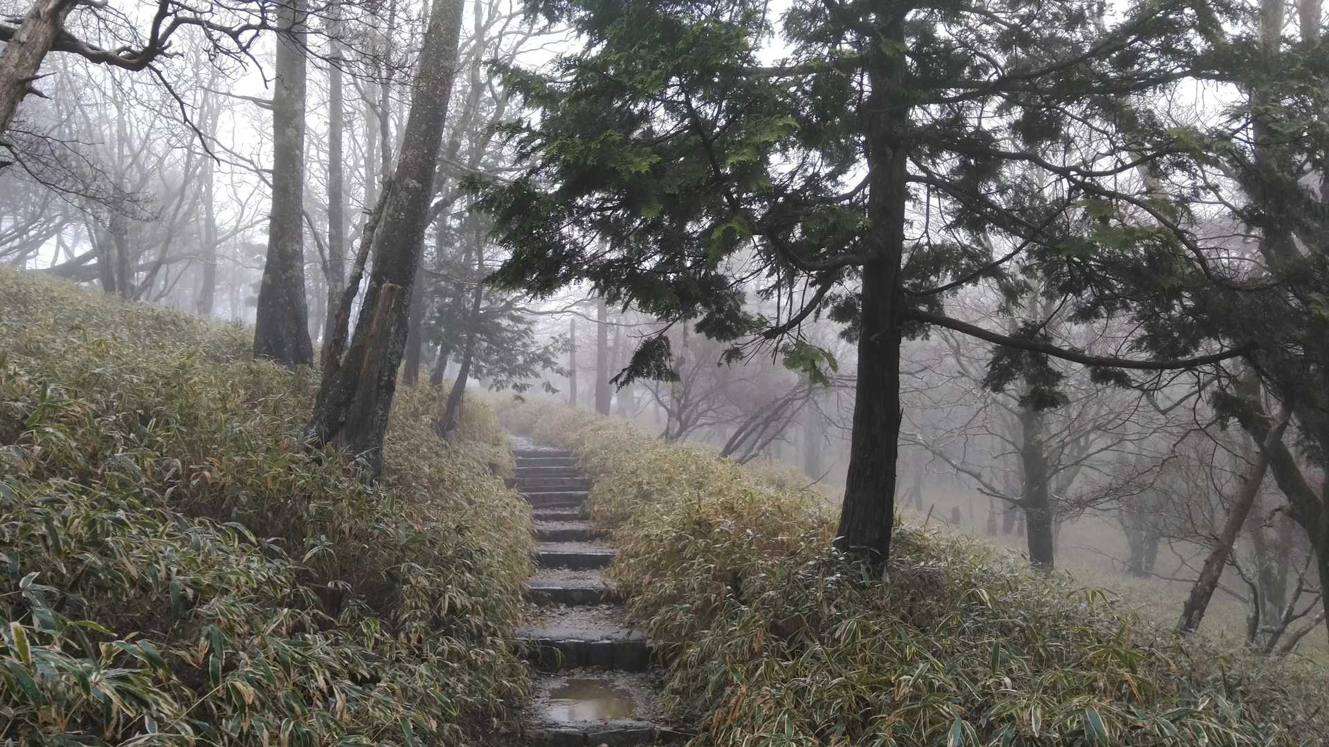 雨&雲の中歩きます！
てもいい雰囲気