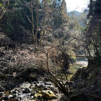 沢沿いを下ります。