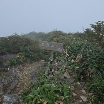 岩黒山山頂
