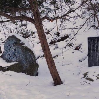 登山口
シジュウカラやゴジュウカラが沢山いました🐦‍⬛
