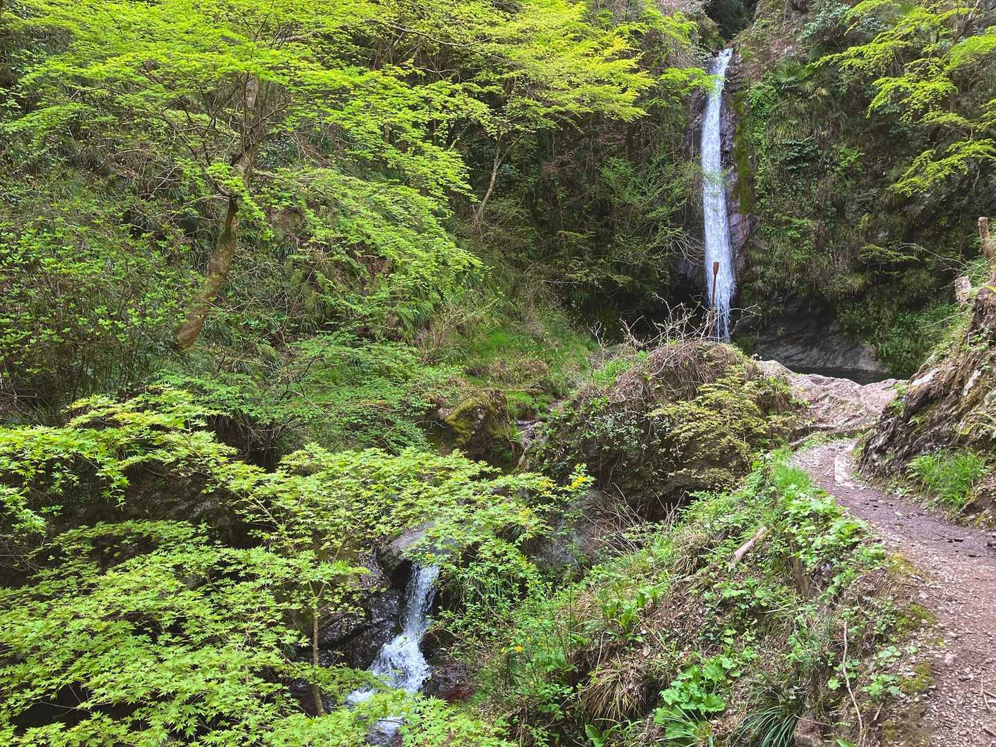 登山口出て道路渡ったら“華厳の滝”到着

バスの時間にも無事間に合い、温泉入って帰ります。おつかれ山でした⛰️

登山口に流れてる川が、桜と大きな岩や緑と山吹、綺麗でした。

よそ見してたら3回で滑ったけど、
傾斜の割に膝痛も出ず、上出来😊