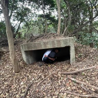 東山山頂は防空ごうの名残り？🤔