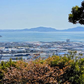 そして渥美半島に乗っかっている
蔵王山と衣笠山ですね w