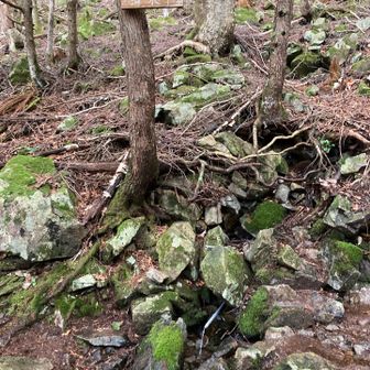 水場。この後、まさかの会社の山好きの方と遭遇！