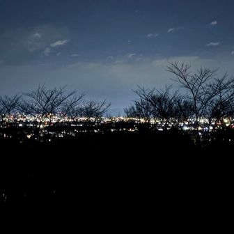 さくら山展望台からも悪くない🤩