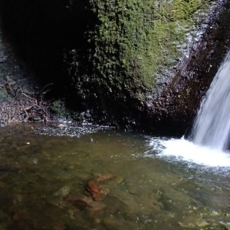 水があって、左奥には進めませんでした。