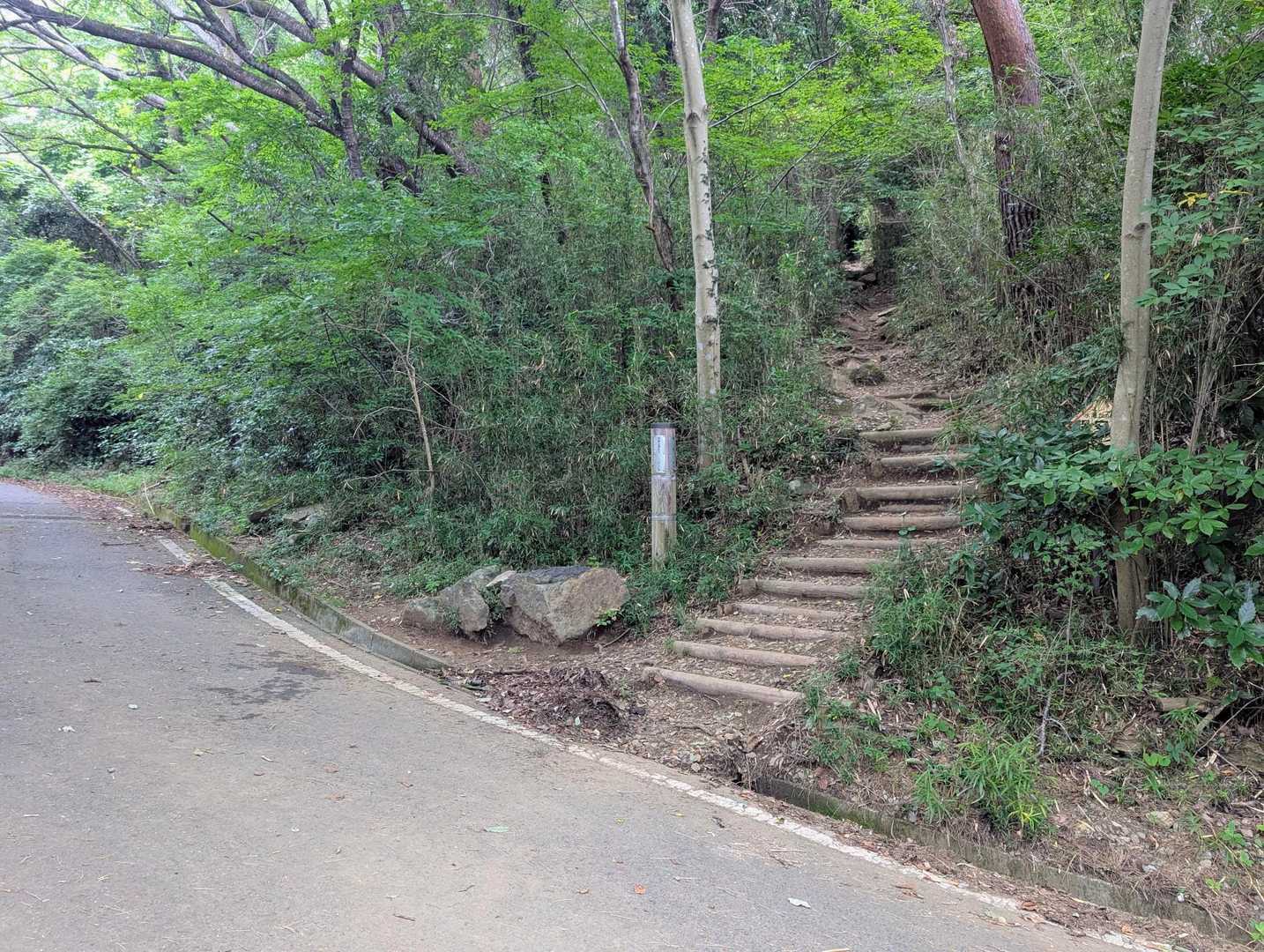 ここからが本番