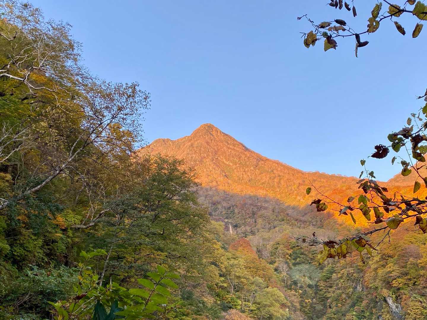 いきなり胸いっぱい🥹
モルゲン妙高山⛰️に感謝🙏