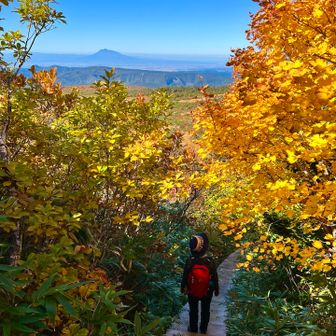 紅葉トンネルの階段を下り切ると
そこには…
