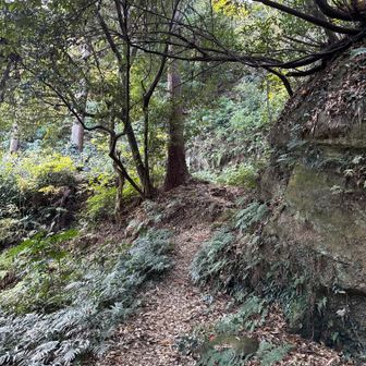 分岐左が降りる路で直進(木の奥に看板あり)は