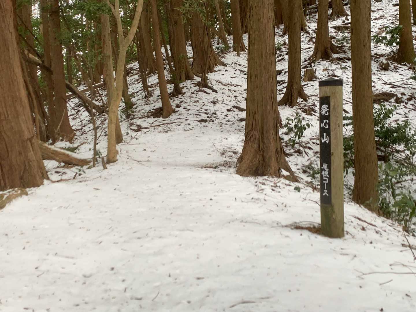 発心山-白山-長岩山 周回コースの写真