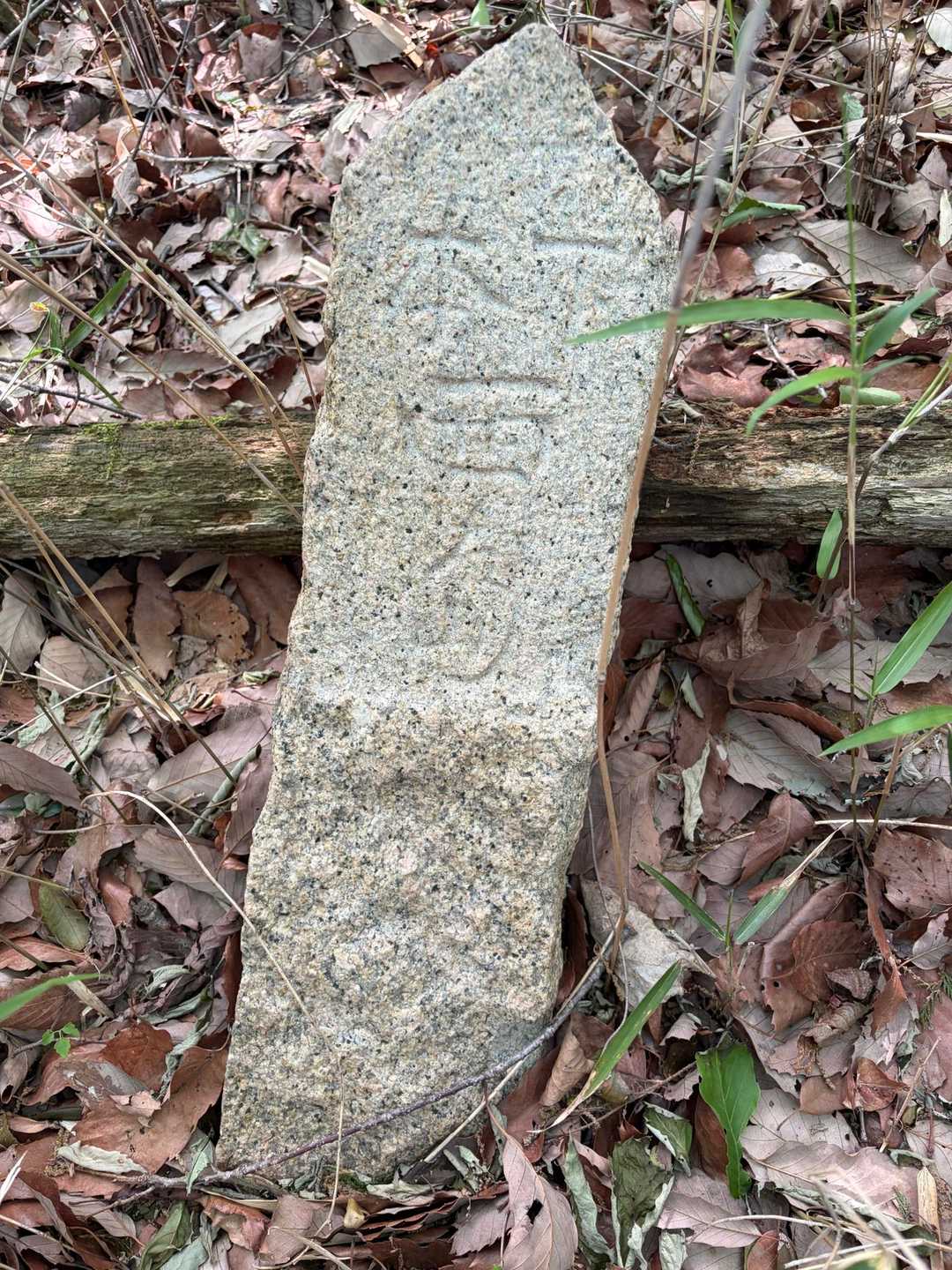 何て書いてるの？