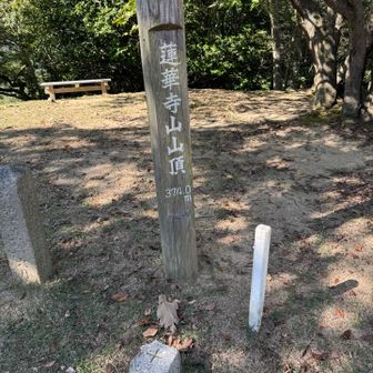 蓮華寺山山頂
ここでソイジョイ食べたけど、パサパサで水分を持っていかれる😅
トレランには向かないかも💦