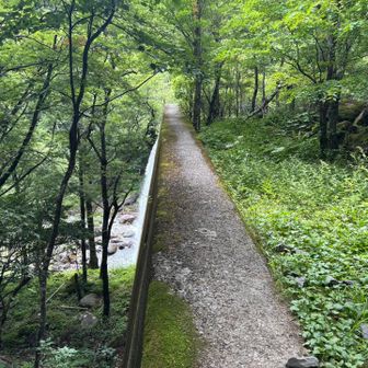 砂防ダムまで帰ってきました✨
