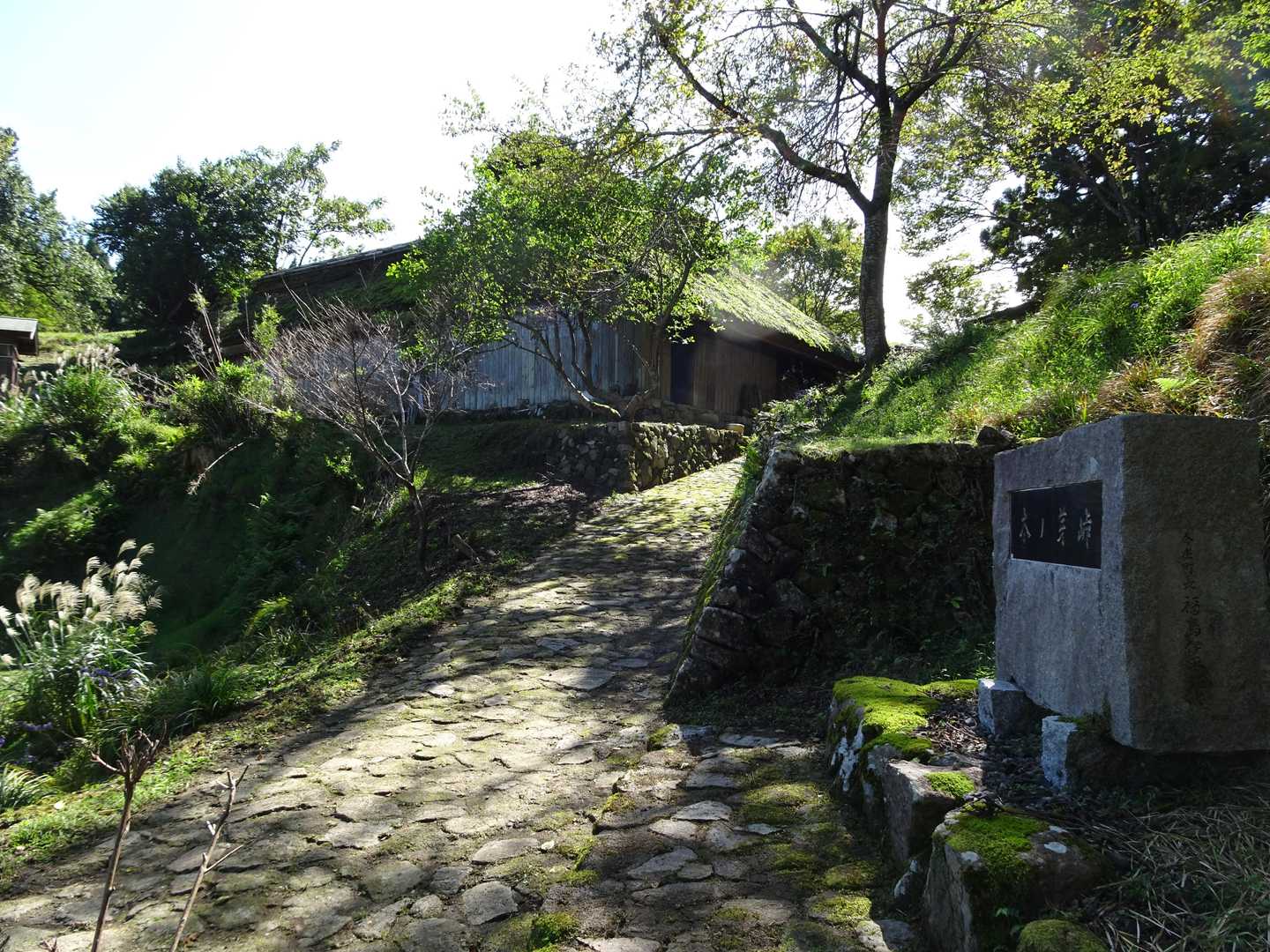 木の芽峠