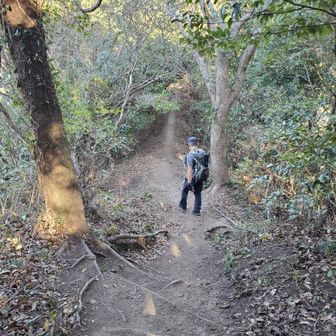 北峰に向かいます