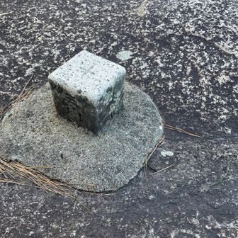 猪避けの扉を抜けた岩の上に三角点あり
眺望はゼロ（笑）