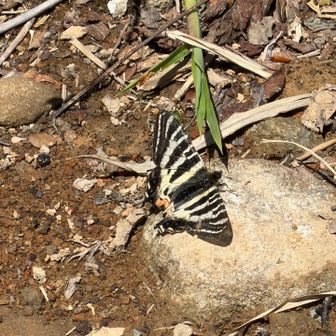 でも山頂はこの少し先になるんですね🤭🦋